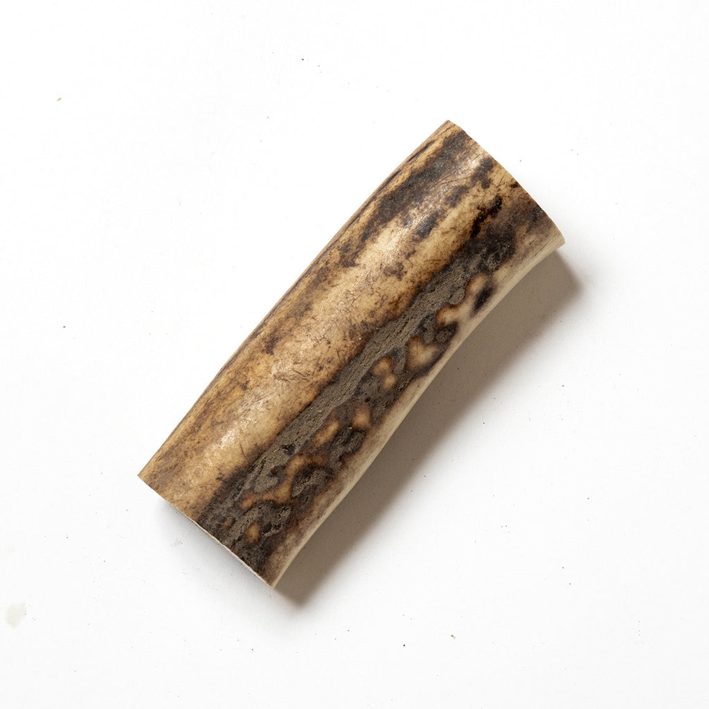 Antler - Medium