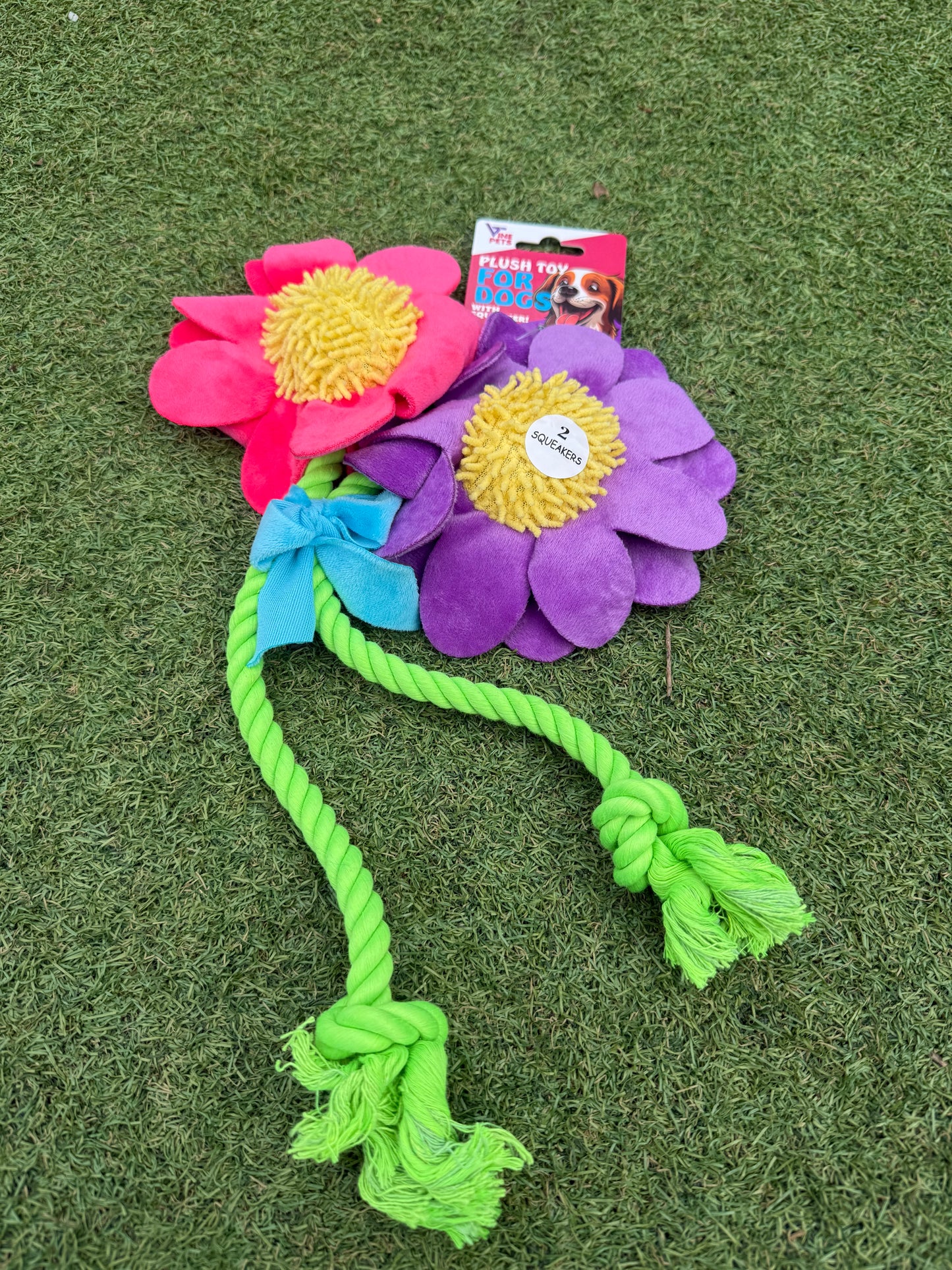 Dog Toy